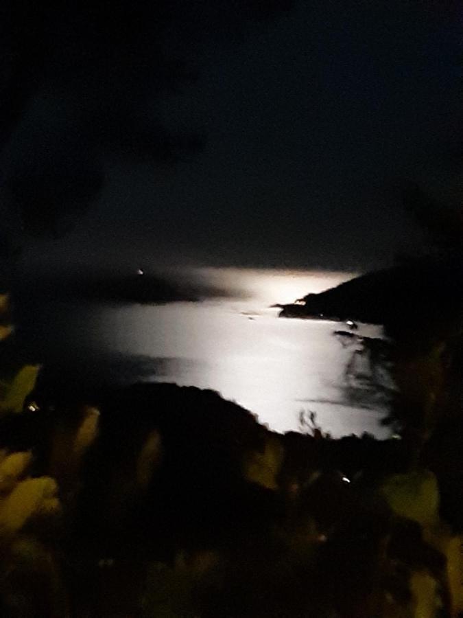 Il Mare Nel Bosco Appartamento Con Terrazza Nella Natura, Vista Mare, Lerici E Isole Eksteriør bilde