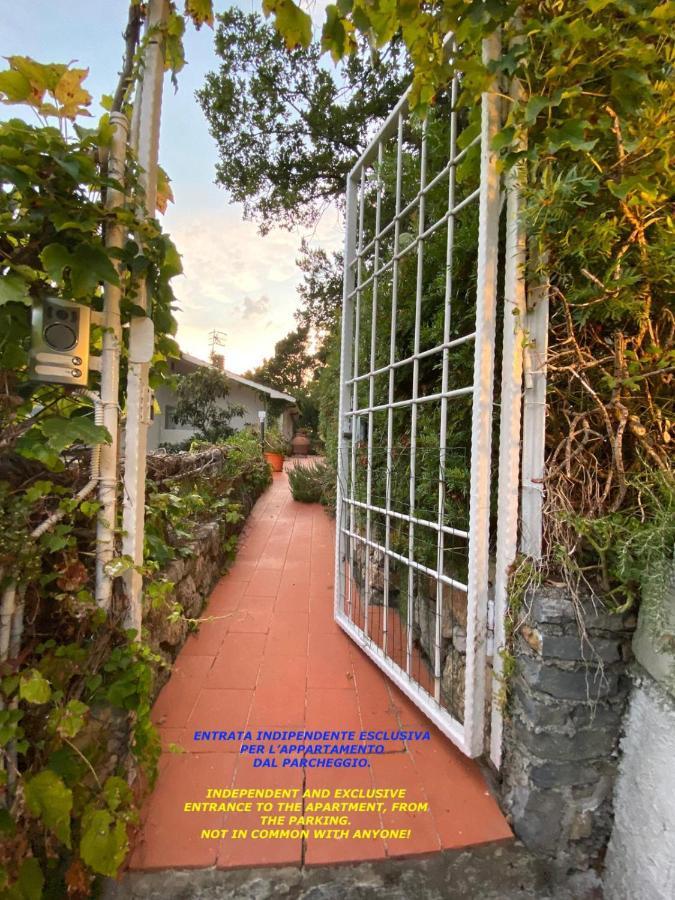 Il Mare Nel Bosco Appartamento Con Terrazza Nella Natura, Vista Mare, Lerici E Isole Eksteriør bilde