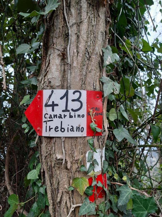 Il Mare Nel Bosco Appartamento Con Terrazza Nella Natura, Vista Mare, Lerici E Isole Eksteriør bilde