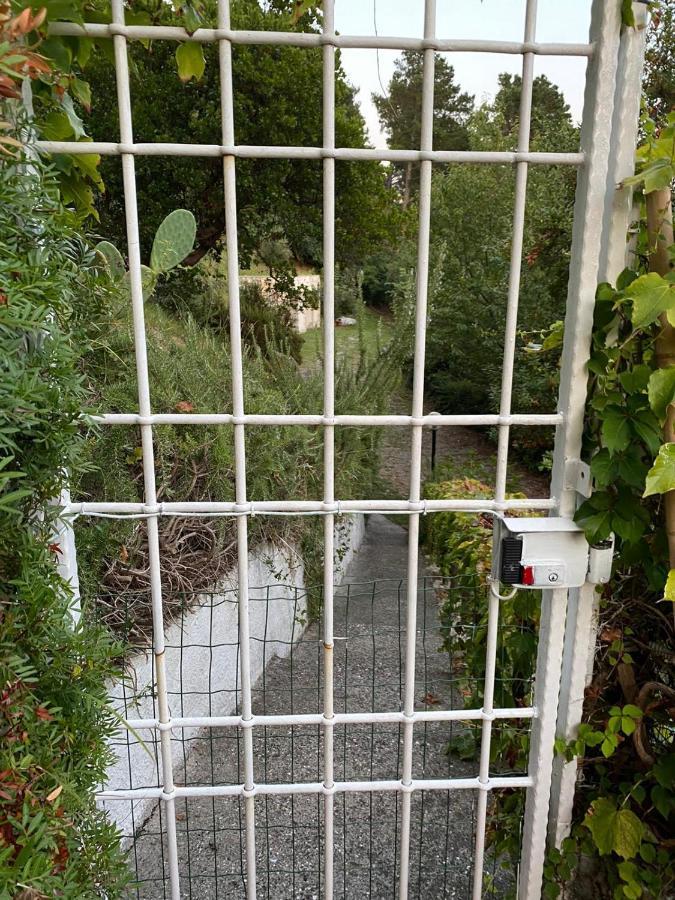Il Mare Nel Bosco Appartamento Con Terrazza Nella Natura, Vista Mare, Lerici E Isole Eksteriør bilde