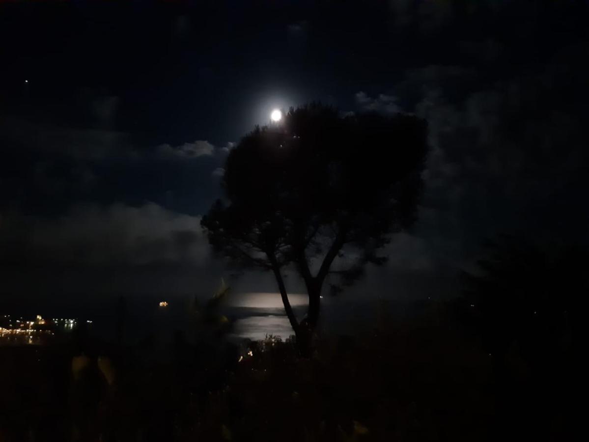 Il Mare Nel Bosco Appartamento Con Terrazza Nella Natura, Vista Mare, Lerici E Isole Eksteriør bilde
