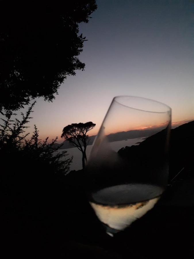 Il Mare Nel Bosco Appartamento Con Terrazza Nella Natura, Vista Mare, Lerici E Isole Eksteriør bilde