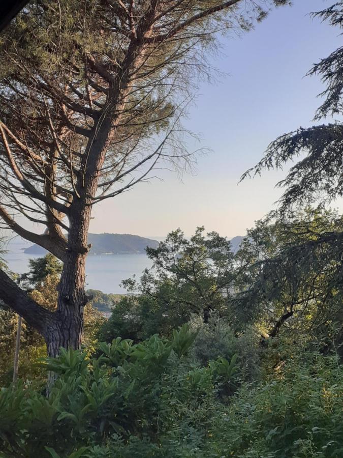 Il Mare Nel Bosco Appartamento Con Terrazza Nella Natura, Vista Mare, Lerici E Isole Eksteriør bilde
