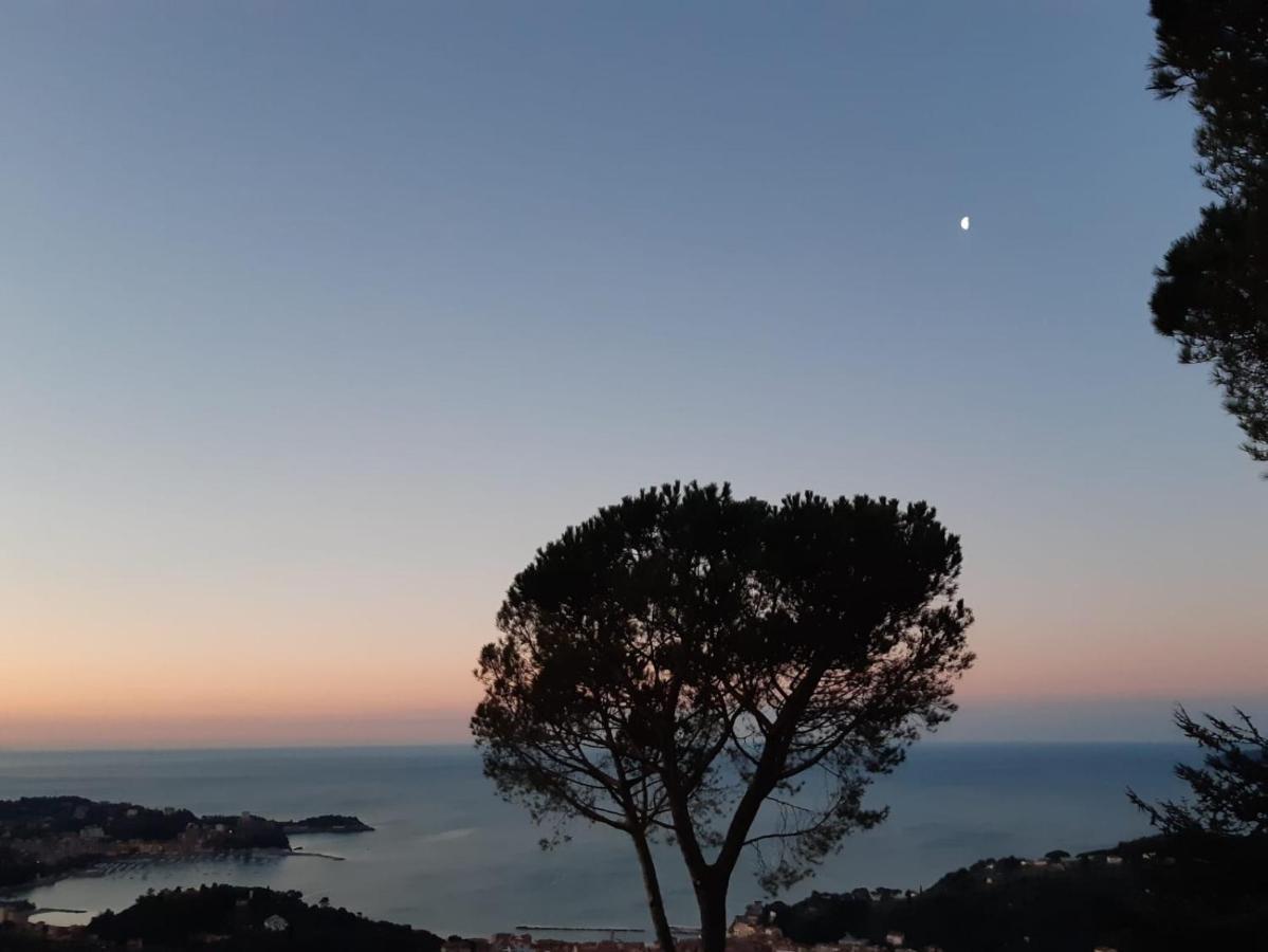 Il Mare Nel Bosco Appartamento Con Terrazza Nella Natura, Vista Mare, Lerici E Isole Eksteriør bilde